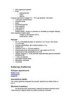 Konspekts 'ASV policija', 4.