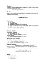 Konspekts 'ASV policija', 5.