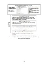 Referāts 'Kompetencēs balstītas izglītības ieviešanas iespējas 5.-7.klašu grupā Latvijā', 17.