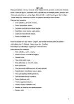 Prakses atskaite 'Profesionālās prakses pārskats', 3.