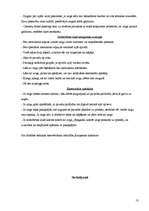 Prakses atskaite 'Profesionālās prakses pārskats', 13.