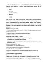 Prakses atskaite 'Profesionālās prakses pārskats', 17.