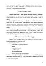 Prakses atskaite 'Profesionālās prakses pārskats', 18.