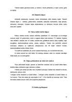 Prakses atskaite 'Profesionālās prakses pārskats', 19.