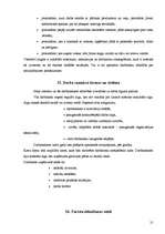 Prakses atskaite 'Profesionālās prakses pārskats', 21.