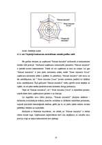 Referāts 'A/s “Hanzas maiznīca” mikrovide', 19.