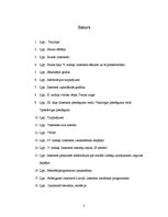 Referāts 'Internets mūsdienu sabiedrībā', 2.
