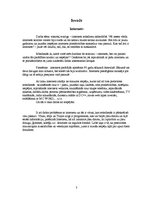 Referāts 'Internets mūsdienu sabiedrībā', 3.