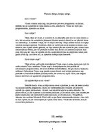 Referāts 'Internets mūsdienu sabiedrībā', 8.