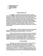 Referāts 'Internets mūsdienu sabiedrībā', 9.