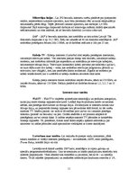 Referāts 'Internets mūsdienu sabiedrībā', 11.