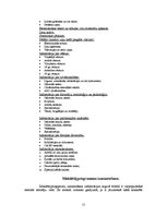 Referāts 'Internets mūsdienu sabiedrībā', 15.