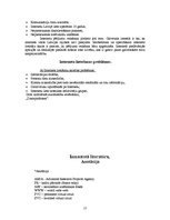 Referāts 'Internets mūsdienu sabiedrībā', 17.