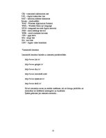 Referāts 'Internets mūsdienu sabiedrībā', 18.