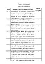 Prakses atskaite 'Juridiskās prakses atskaite', 28.