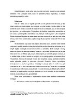 Konspekts 'Krīzes identifikācija', 2.