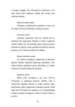 Diplomdarbs 'Uzņēmuma "X” mārketinga stratēģija', 53.