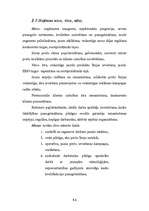 Diplomdarbs 'Uzņēmuma "X” mārketinga stratēģija', 64.