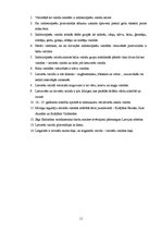 Referāts 'Indoeiropiešu valodu saime', 11.