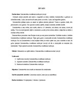 Referāts 'Ziemassvētku svinēšanas tradīcijas Latvijā', 4.