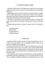 Referāts 'Ziemassvētku svinēšanas tradīcijas Latvijā', 5.