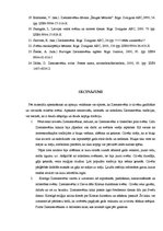 Referāts 'Ziemassvētku svinēšanas tradīcijas Latvijā', 23.