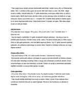 Referāts 'Ziemassvētku svinēšanas tradīcijas Latvijā', 35.