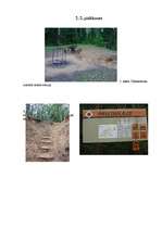 Referāts 'Tūristu ietekme uz Gaujas piekrastes tūristu apmetņu vidi', 28.