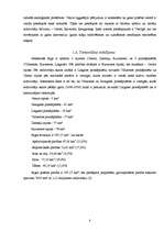 Referāts 'Ārzemju tūrisms Rīgas pilsētā', 8.