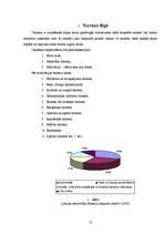 Referāts 'Ārzemju tūrisms Rīgas pilsētā', 12.