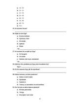 Referāts 'Ārzemju tūrisms Rīgas pilsētā', 41.