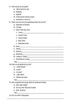 Referāts 'Ārzemju tūrisms Rīgas pilsētā', 44.