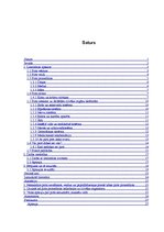 Referāts 'Pirts', 1.