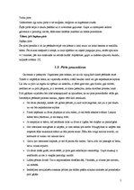 Referāts 'Pirts', 5.