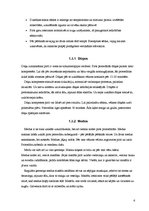 Referāts 'Pirts', 6.