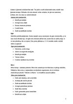 Referāts 'Pirts', 8.