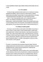 Referāts 'Pirts', 11.