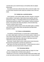 Referāts 'Pirts', 12.