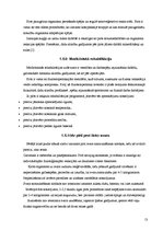 Referāts 'Pirts', 13.