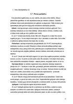 Referāts 'Pirts', 15.