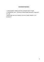 Referāts 'Pirts', 24.