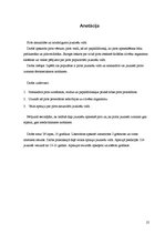 Referāts 'Pirts', 25.