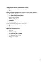 Referāts 'Pirts', 28.