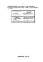 Biznesa plāns 'SIA "Rigonda"', 9.