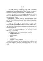 Referāts 'Valūtas kursu būtiski ietekmējošie faktori', 3.