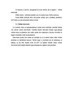 Referāts 'Valūtas kursu būtiski ietekmējošie faktori', 6.