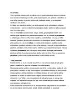 Konspekts 'Vara', 1.