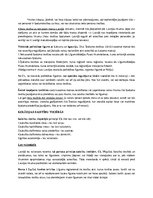 Konspekts 'Civillikuma kolīziju normas un kāzusa risināšanas shēma', 3.