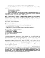 Konspekts 'Civillikuma kolīziju normas un kāzusa risināšanas shēma', 7.