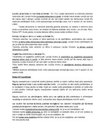 Konspekts 'Civillikuma kolīziju normas un kāzusa risināšanas shēma', 8.